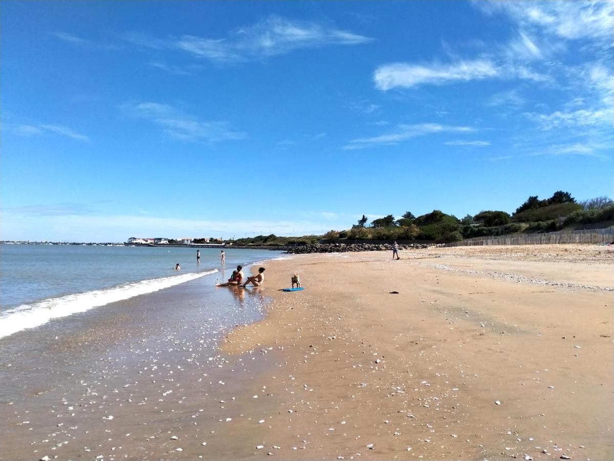 Merlettes Des Sables Yves Buitenkant foto